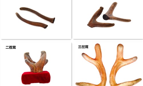 经期按摩会导致月经延长吗-月经期间按摩影响怀孕吗网 - 姨妈期间按摩有什么影响,大姨妈期间按摩吗有影响吗